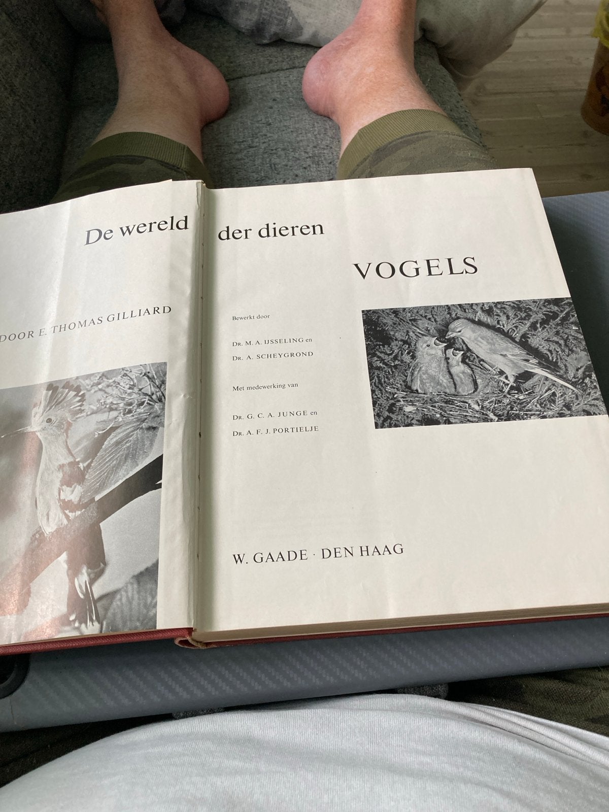 De wereld der dieren: Vogels - E. Thomas Gilliard, Ophalen of Verzenden, Gelezen, Vogels