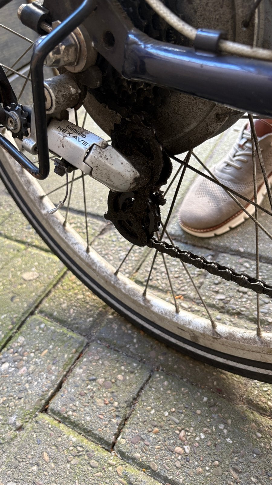 Gazelle Damesfiets met lage instap en versnellingen, Fietsen en Brommers, Fietsen | Dames | Damesfietsen, Ophalen, 47 tot 50 cm