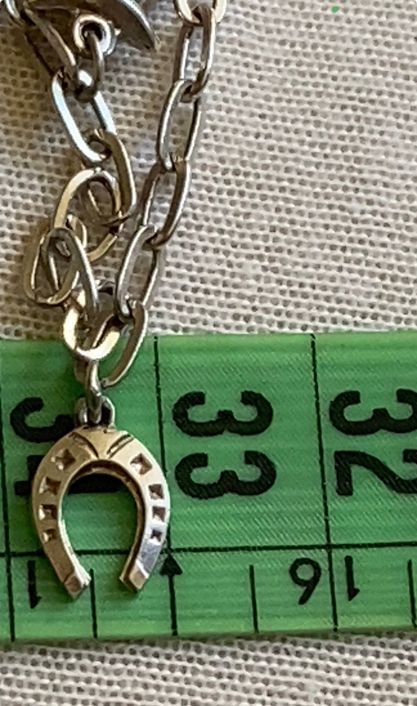 Zilveren bedel kettinghanger hoefijzer (geluk), Overige merken, Ophalen of Verzenden, Zo goed als nieuw, 4 bedels of meer