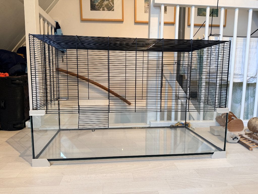 Glazen hamsterkooi (100x50 cm) + toebehoren, Hok, 75 tot 110 cm, Ophalen, Minder dan 60 cm