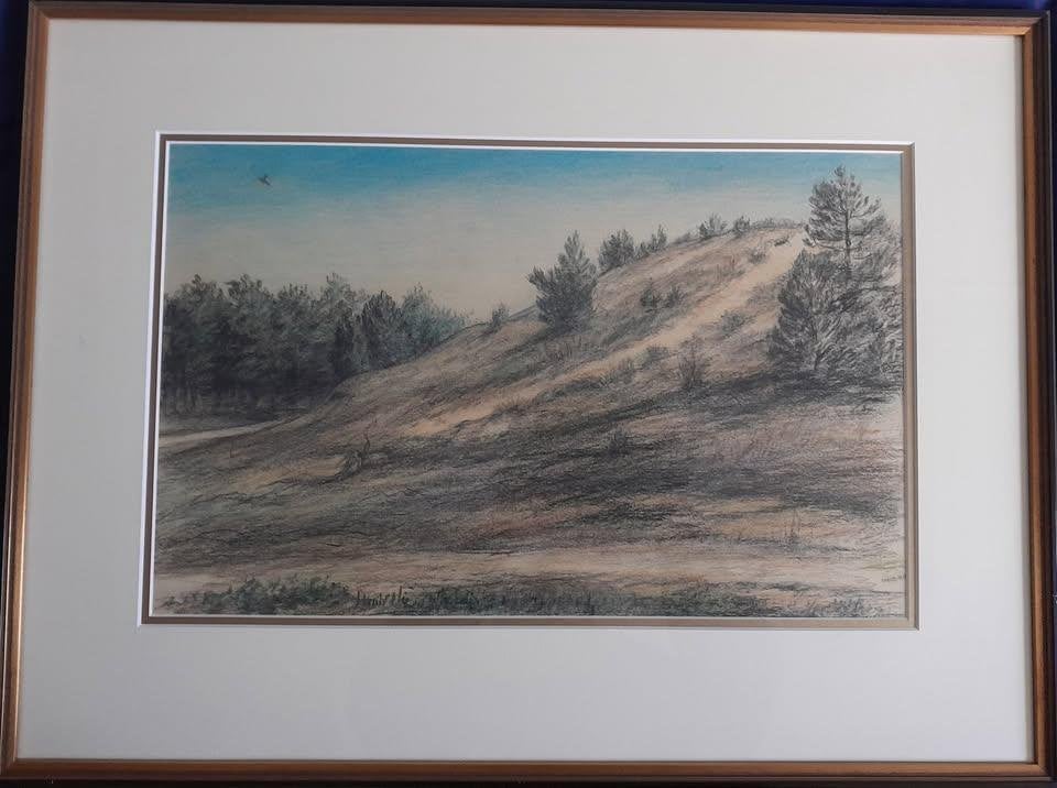 In de duinen- schilderij met luxe lijst, Ophalen, 50 – 75, Gebruikt, Oorspronkelijke maker