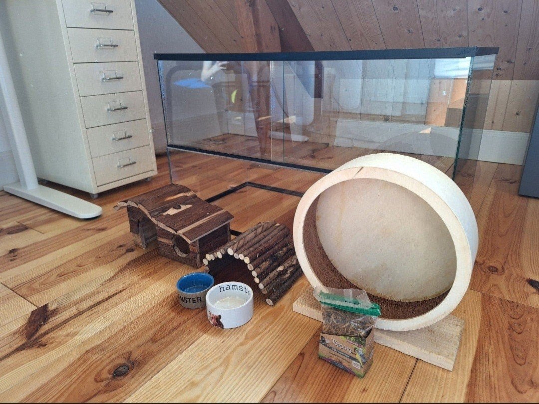 Glazen hamsterhok + benodigdheden, Dieren en Toebehoren, Ophalen of Verzenden, Zo goed als nieuw, Hok, Hamster