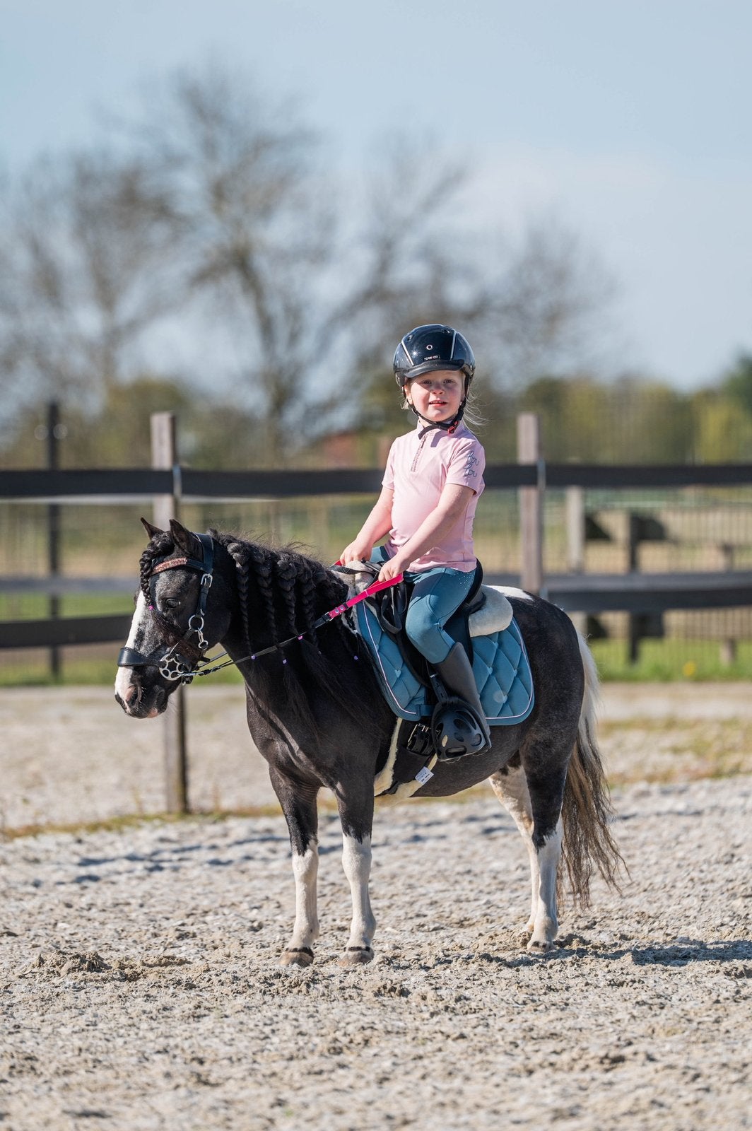 Lieve en betrouwbare Shetlander merrie zoekt verzorger, Dieren en Toebehoren, 1 paard of pony