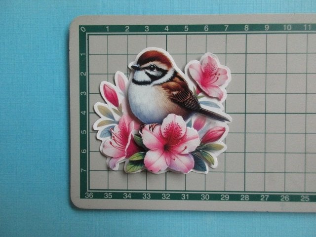 y1071 Vogel, Verzenden, Nieuw, Natuur, Overige typen