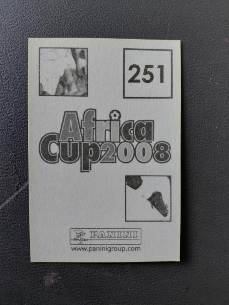 Afrika Cup 2008 Panini veel plaatjes, Ophalen of Verzenden, Zo goed als nieuw, Buitenlandse clubs, Poster, Plaatje of Sticker