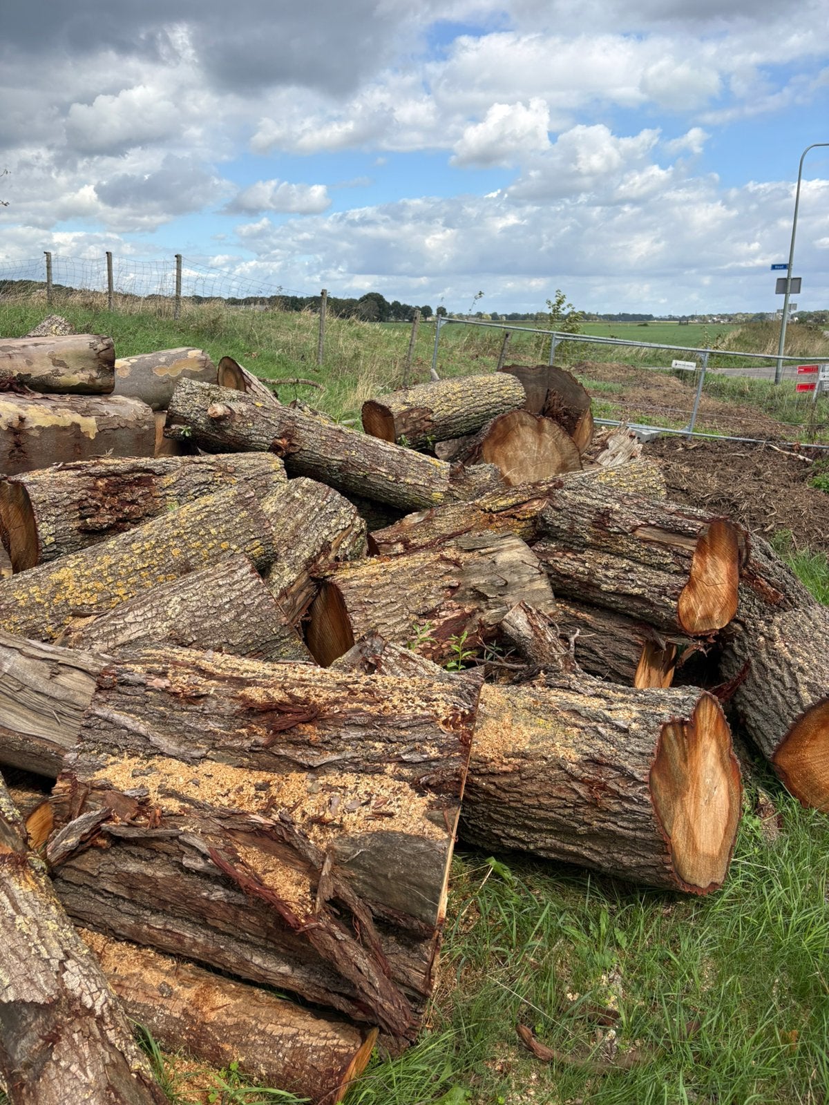 8 bomen kachelhout haardhout brandhout, Tuin en Terras, Haardhout, 6 m³ of meer, Ophalen, Overige houtsoorten, Stammen