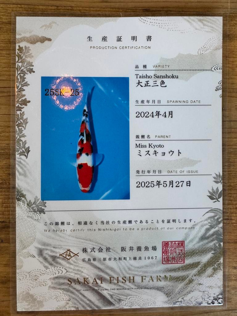 Sakai koi, Karper of Koi