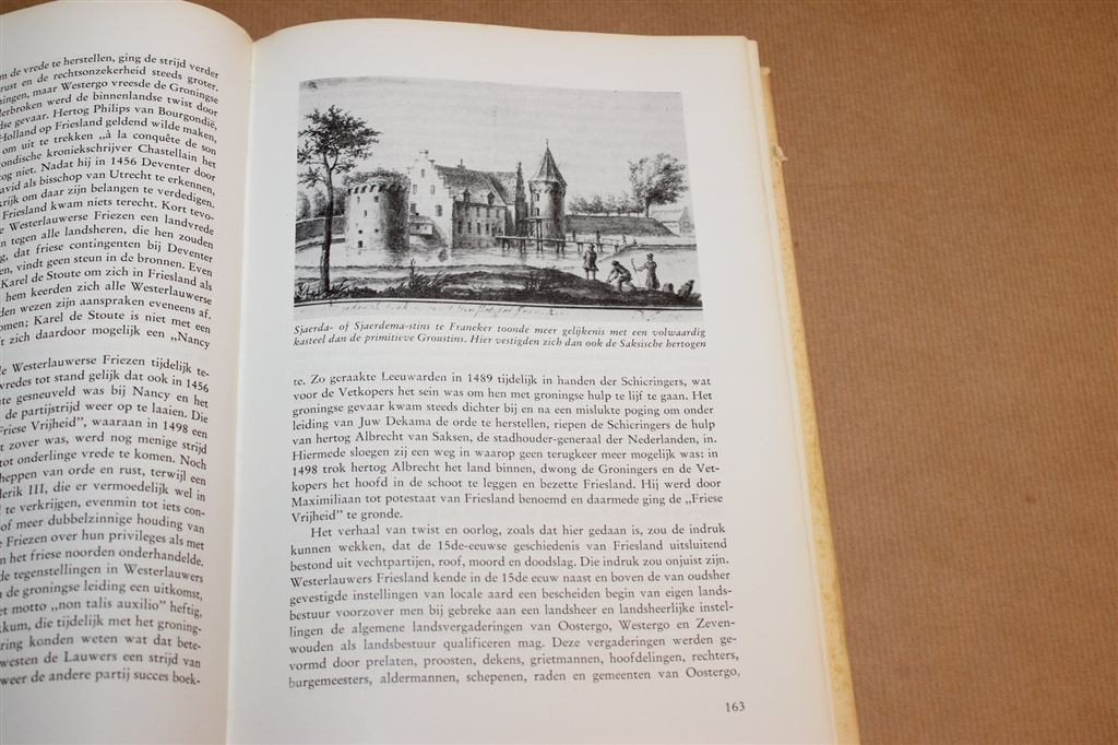 Geschiedenis van Friesland — Fryske Akademy, 1968, Boeken, Ophalen of Verzenden, Gelezen