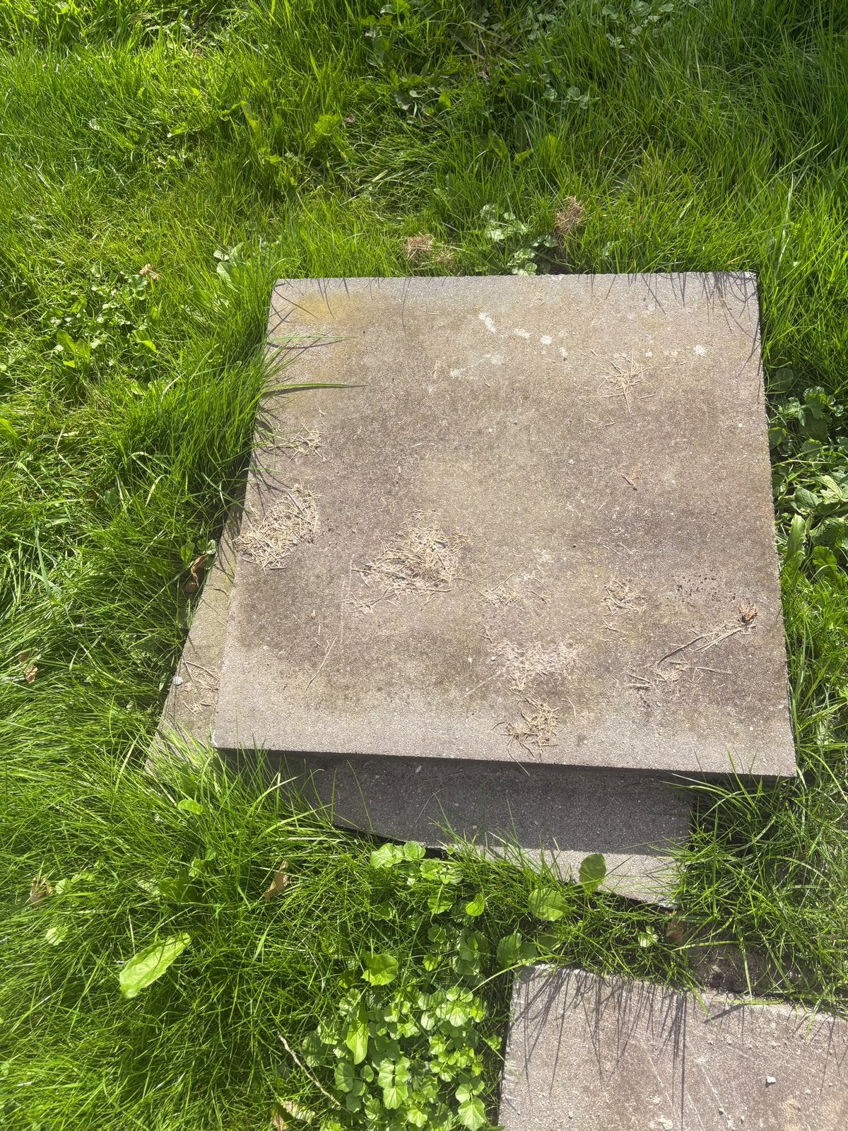 Gratis tegels 60 x 60, Ophalen of Verzenden, Zo goed als nieuw, Beton, Terrastegels