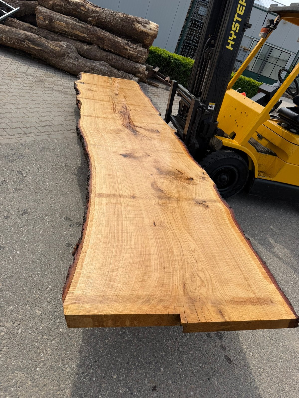 Mega grote eiken boomstam bladen 520x100x8cm
