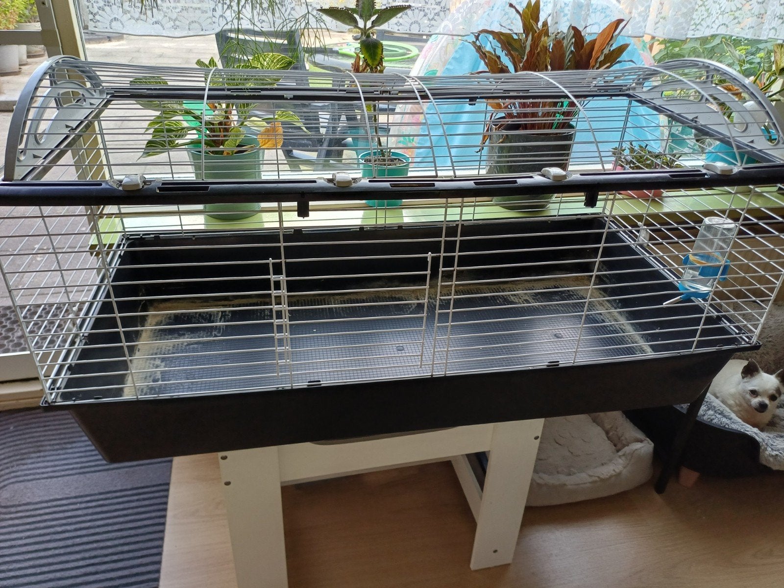 Konijnen/Cavia kooi, Dieren en Toebehoren, Knaagdieren en Konijnen | Hokken en Kooien, Kooi, 75 tot 110 cm, Cavia, Ophalen