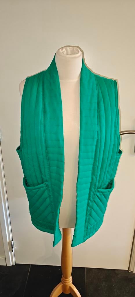 Prachtig groene bodywarmer  / gilet - Lyocell stof, Kleding | Dames, Ophalen of Verzenden, Zo goed als nieuw, Maat 38/40 (M), Groen