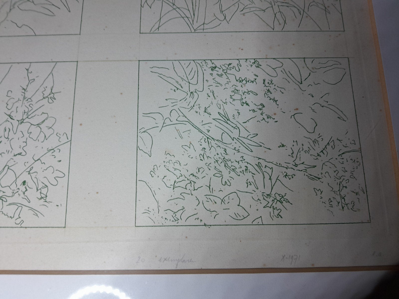 Titel voor Genummerde grafische prent met planten in lijst 1, Abstract, Ophalen of Verzenden, Papier, Gemengde techniek
