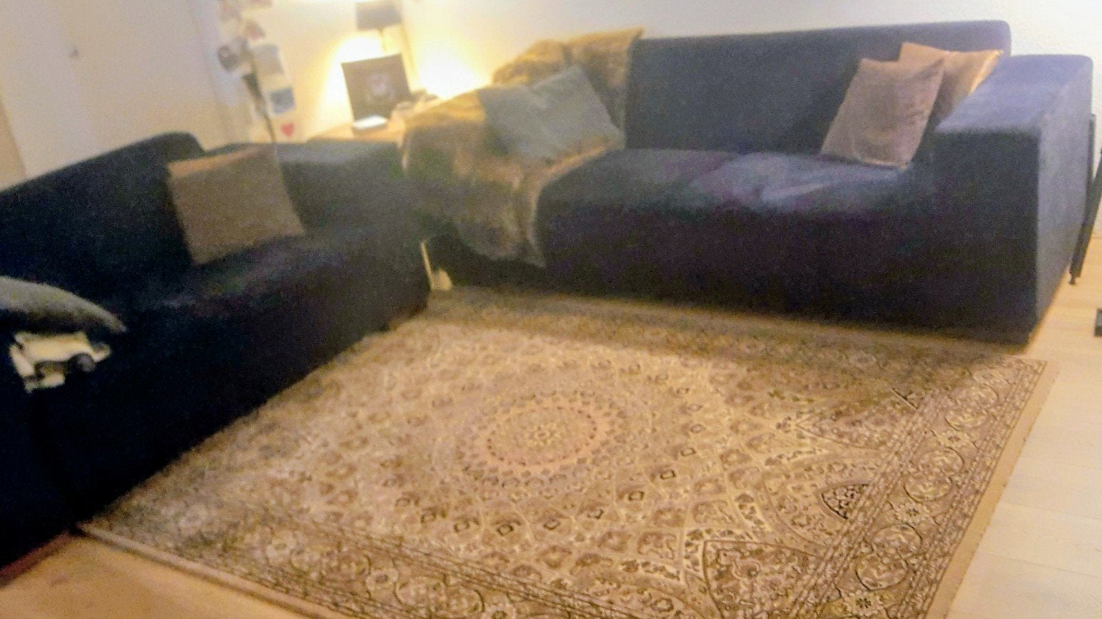 Vloerkleed 160 x 230 cm - Carpetland, Gebruikt, 150 tot 200 cm, 200 cm of meer, Bruin