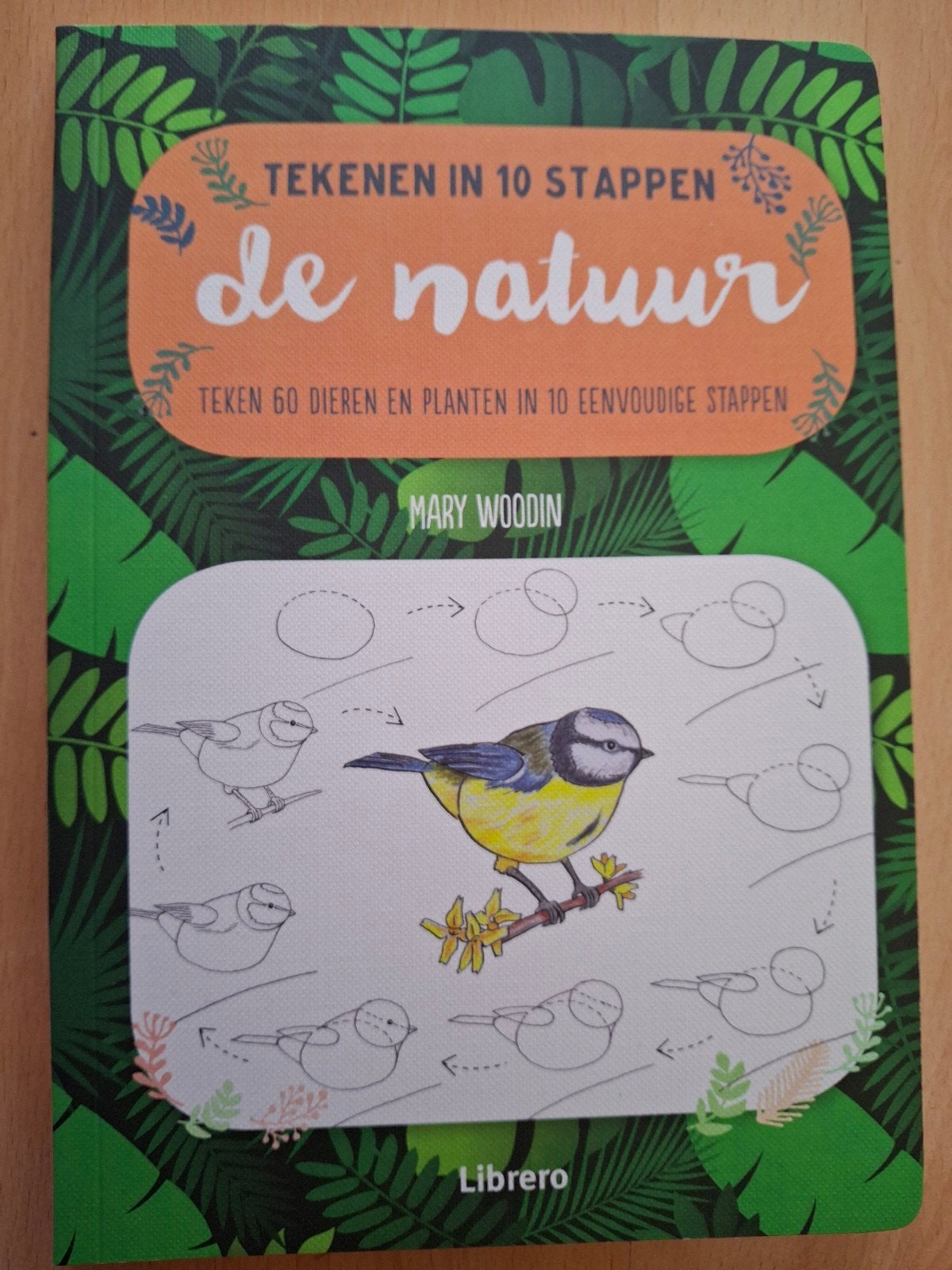 Mary Woodin - De Natuur - Tekenen in 10 stappen, Boeken, Nieuw, Ophalen of Verzenden, Tekenen en Schilderen, Mary Woodin
