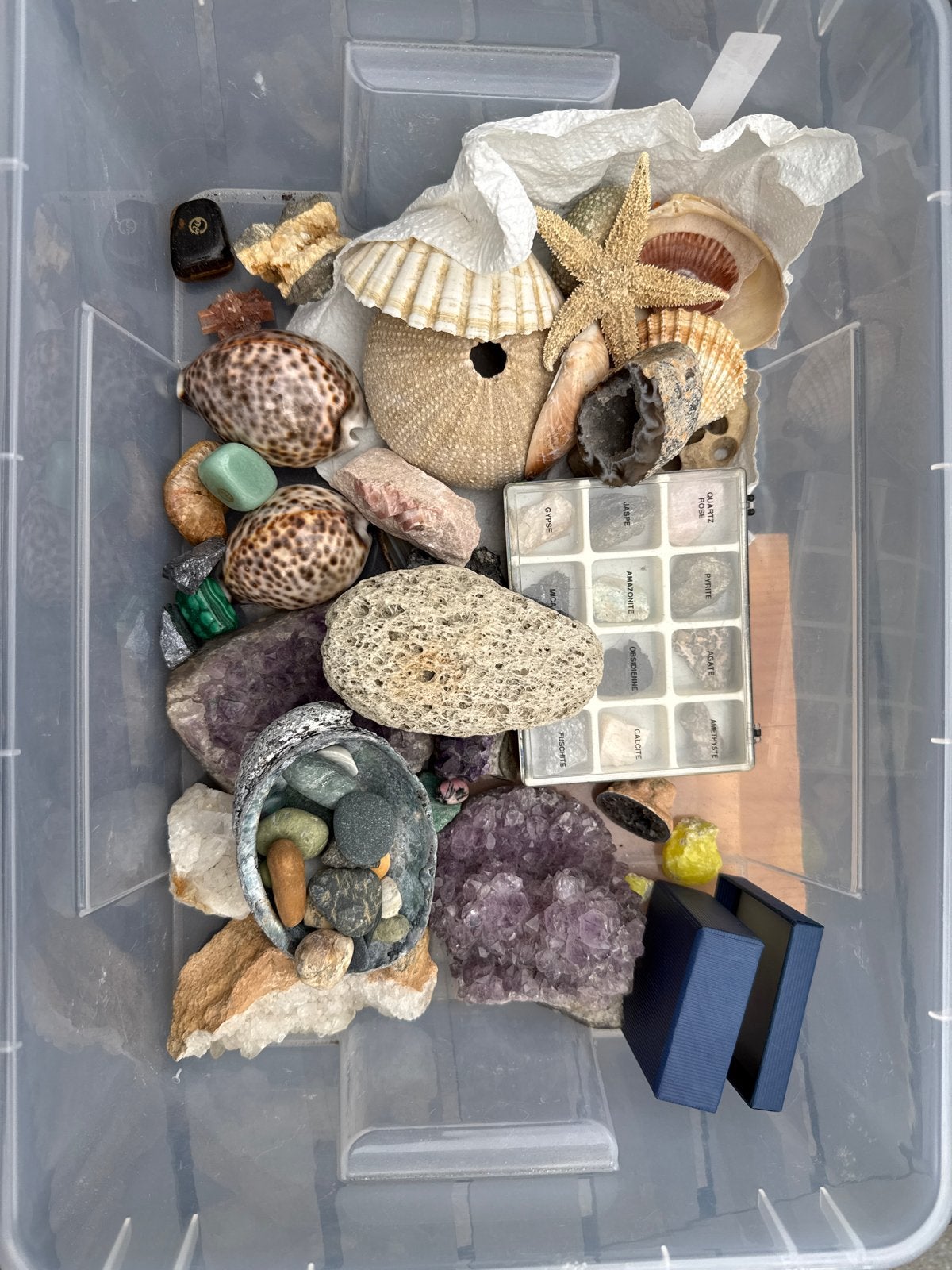 Diverse collectie schelpen, mineralen en fossielen, Ophalen, Mineraal