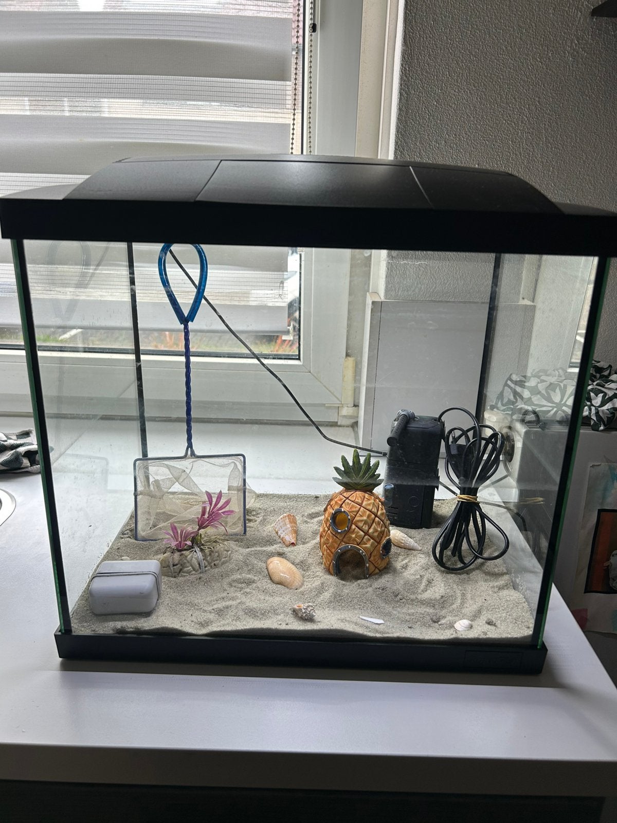 Aquarium, Ophalen, Zo goed als nieuw, Gevuld zoetwateraquarium