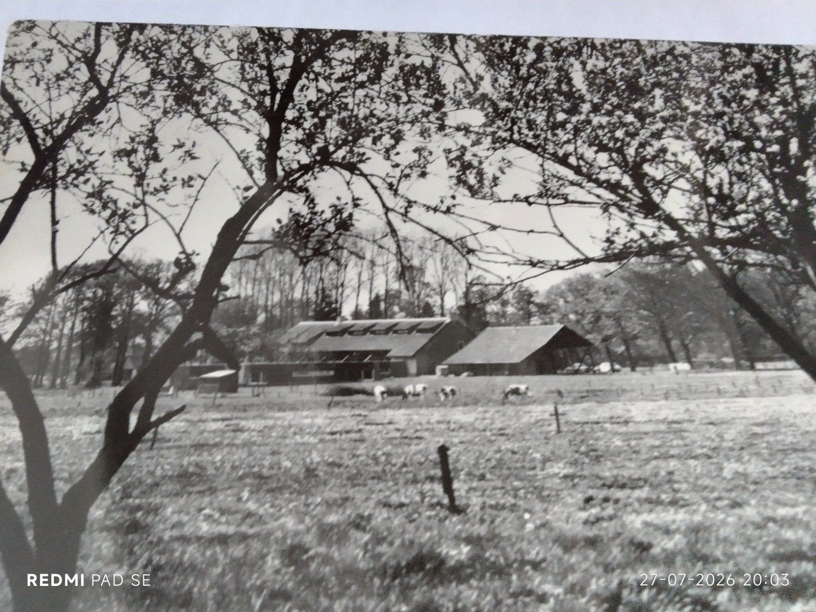 Oude ansichtkaart: De Hoeve Ten Vorsel, Bladel (N.B.), Verzamelen, Ansichtkaarten | Nederland, Ophalen of Verzenden, Voor 1920