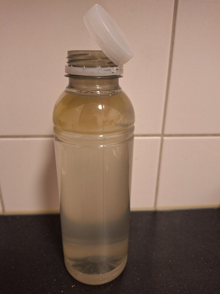 Azijnaaltjes, Overige typen, Zoetwatervis