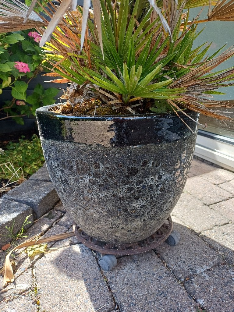 Vier bloempotten, Rond, Zo goed als nieuw, Minder dan 40 cm, Tuin