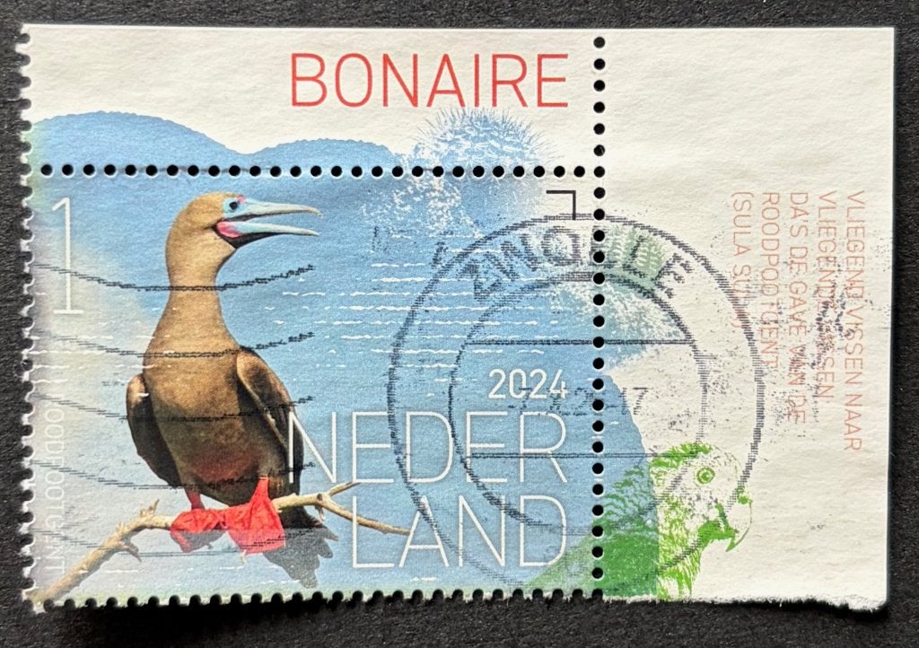 Postzegel Nederland Bonaire Roodpootgent hoekzegel tabs, Postzegels en Munten, Ophalen of Verzenden, Na 1940, Gestempeld