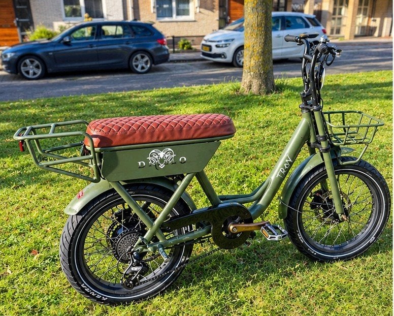 Troy Diablo Green Fatbike – elektrisch – stoere uitstraling, Ophalen, Overige merken