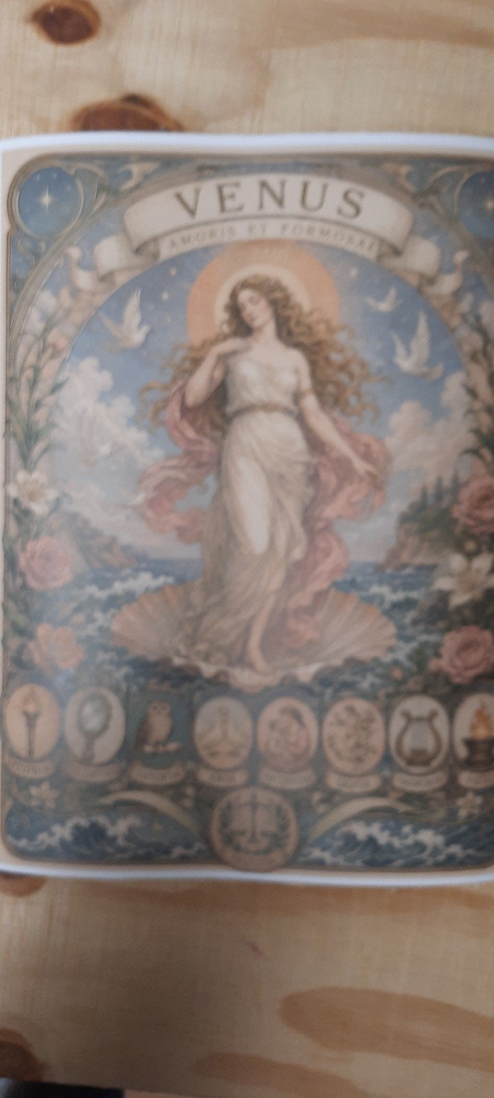 Venus Amoris et Formosae Poster 30x40cm, Rechthoekig Staand, Verzenden, Zo goed als nieuw, A1 t/m A3
