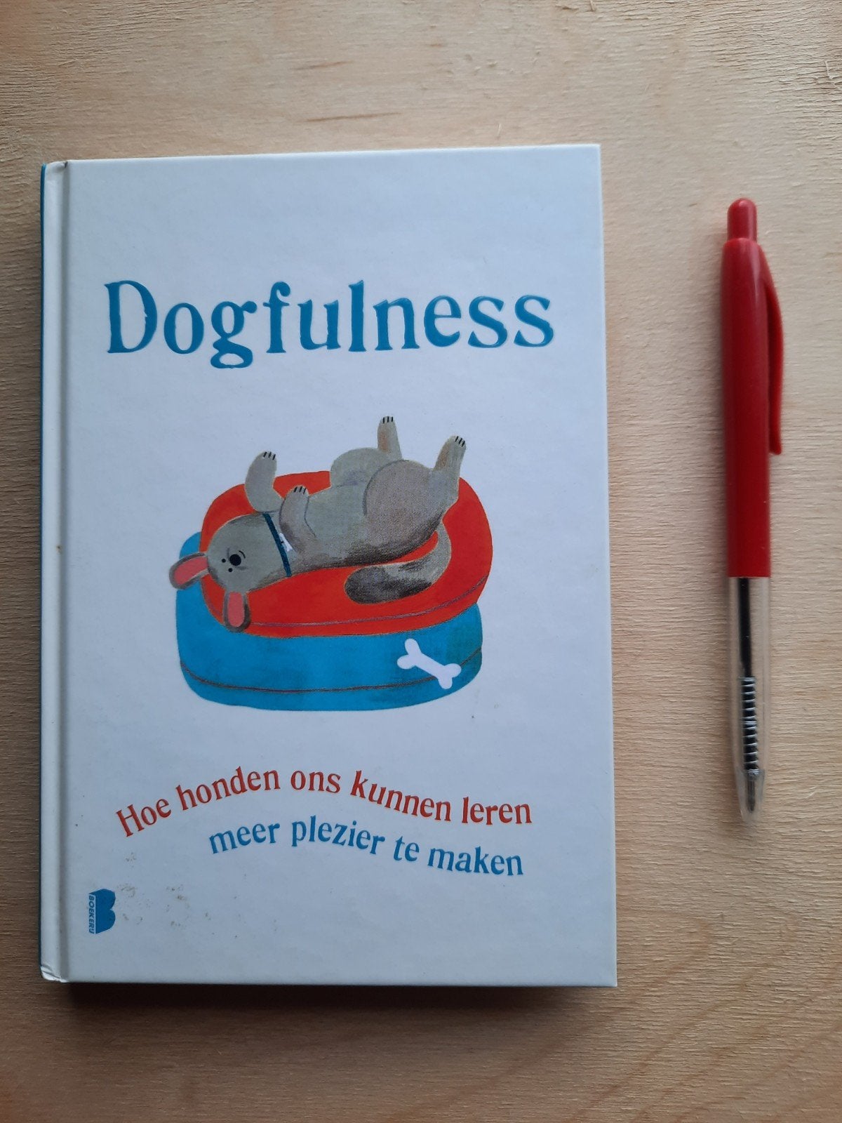Paolo Valentino - Dogfulness, Ophalen of Verzenden, Zo goed als nieuw, Paolo Valentino