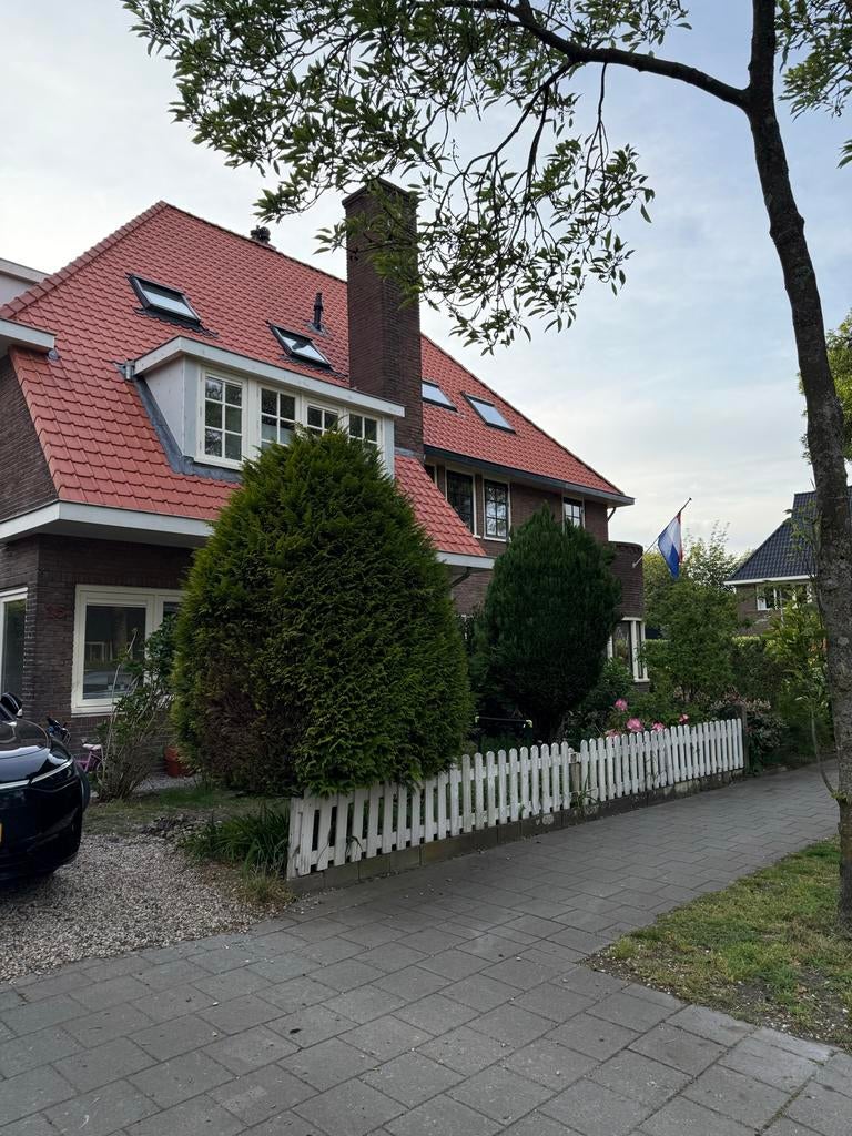 3 Coniferen zelf uitgraven, Overige soorten, Volle zon, Vaste plant, Ophalen of Verzenden