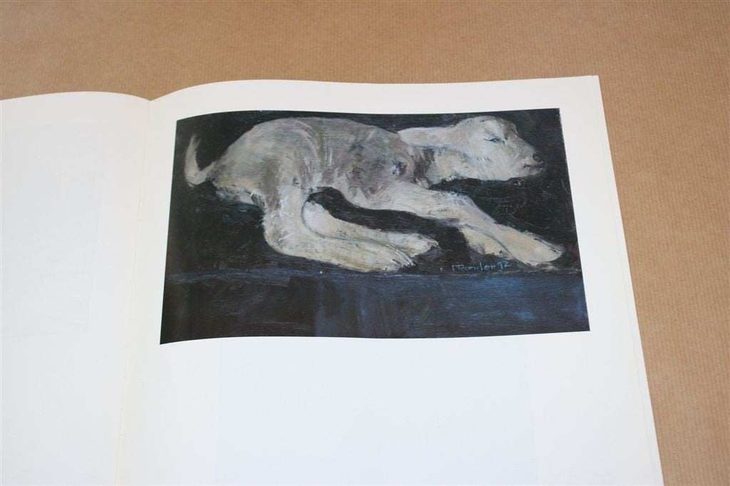 Pieter Pander. Tentoonstellingscatalogus., Ophalen of Verzenden, Gelezen