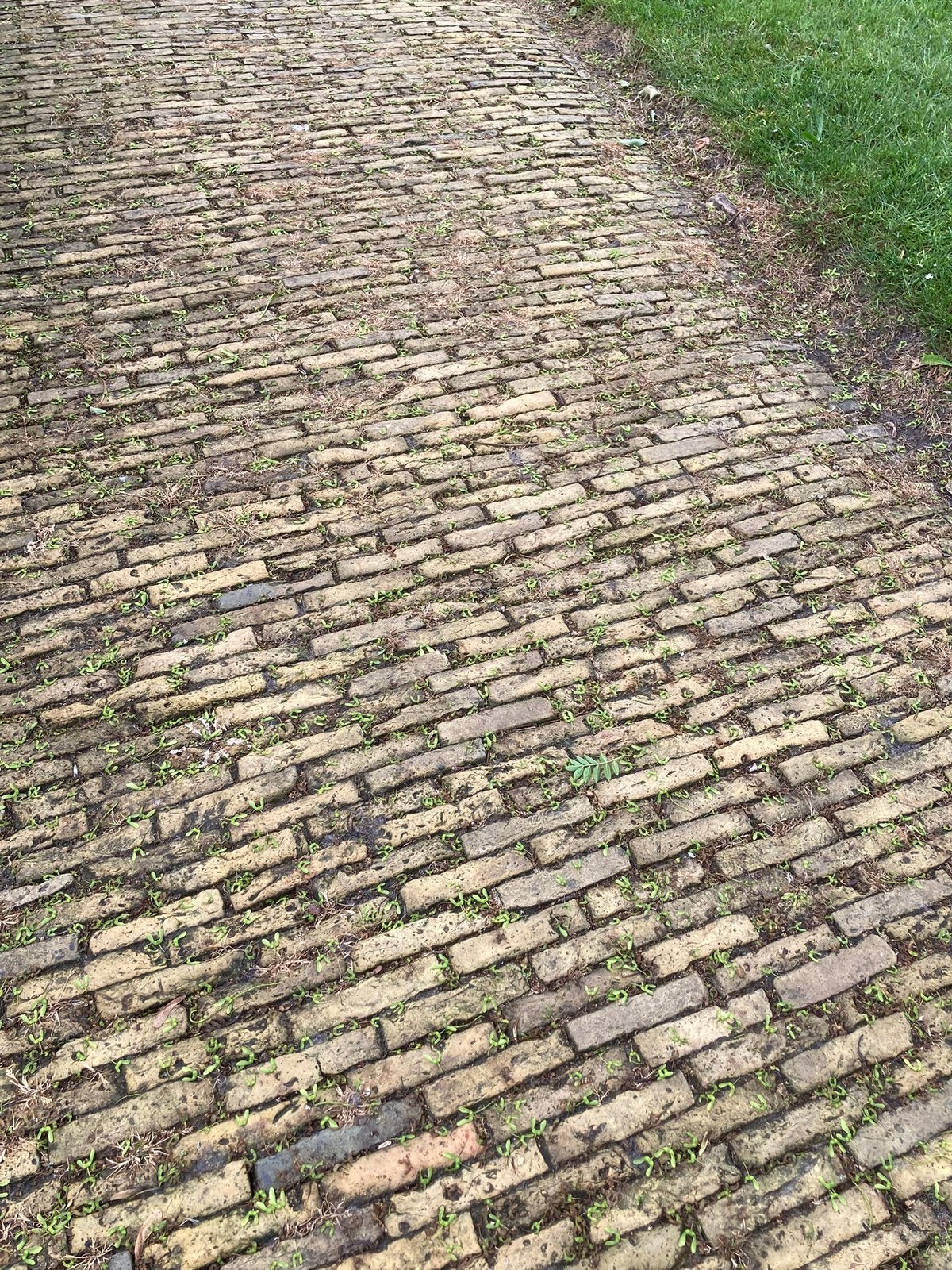 Nostalgische gebakken geeltjes!, Tuin en Terras, Overige materialen, Gebruikt, Klinkers, Ophalen of Verzenden
