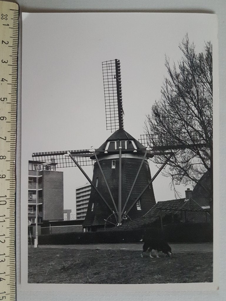 Foto (10x15cm) Molen Leidschendam Windmolen, Ophalen of Verzenden, 1960 tot 1980, Ongelopen, Noord-Brabant