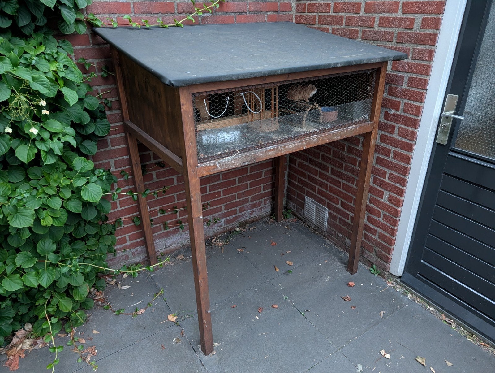 Cavia / konijnen hok hoog - met toebehoren, Gebruikt, Cavia, Hok, 75 tot 110 cm