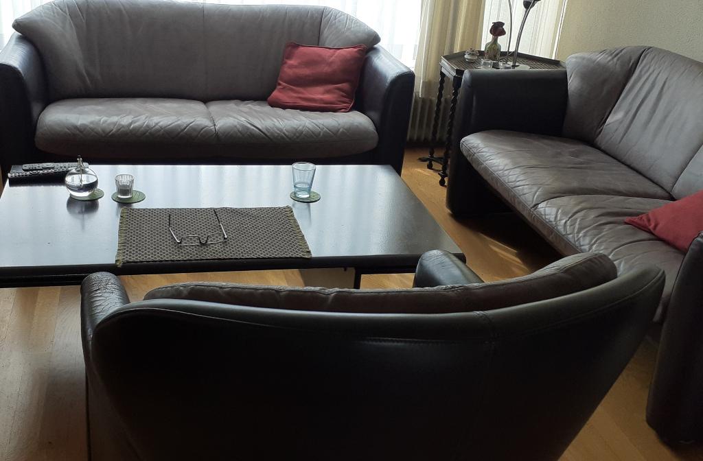 Leolux banken, stoel en salontafel, Huis en Inrichting, Ophalen, Gebruikt, Leer