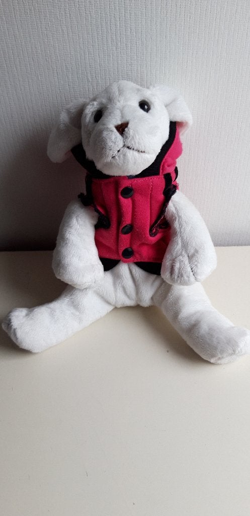 knuffelhond met adidas jasje, Ophalen of Verzenden