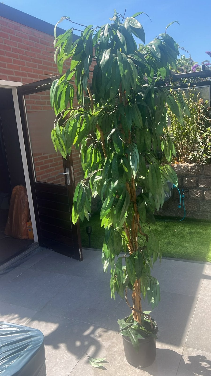 Mooie kunstplant, Ophalen, Volle zon, Overige soorten, 100 tot 250 cm