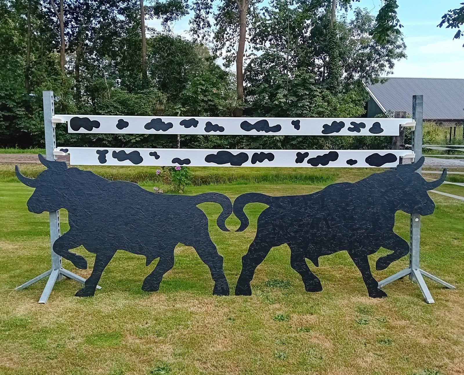 Gloednieuwe hindernis, Ophalen, Nieuw, Springen