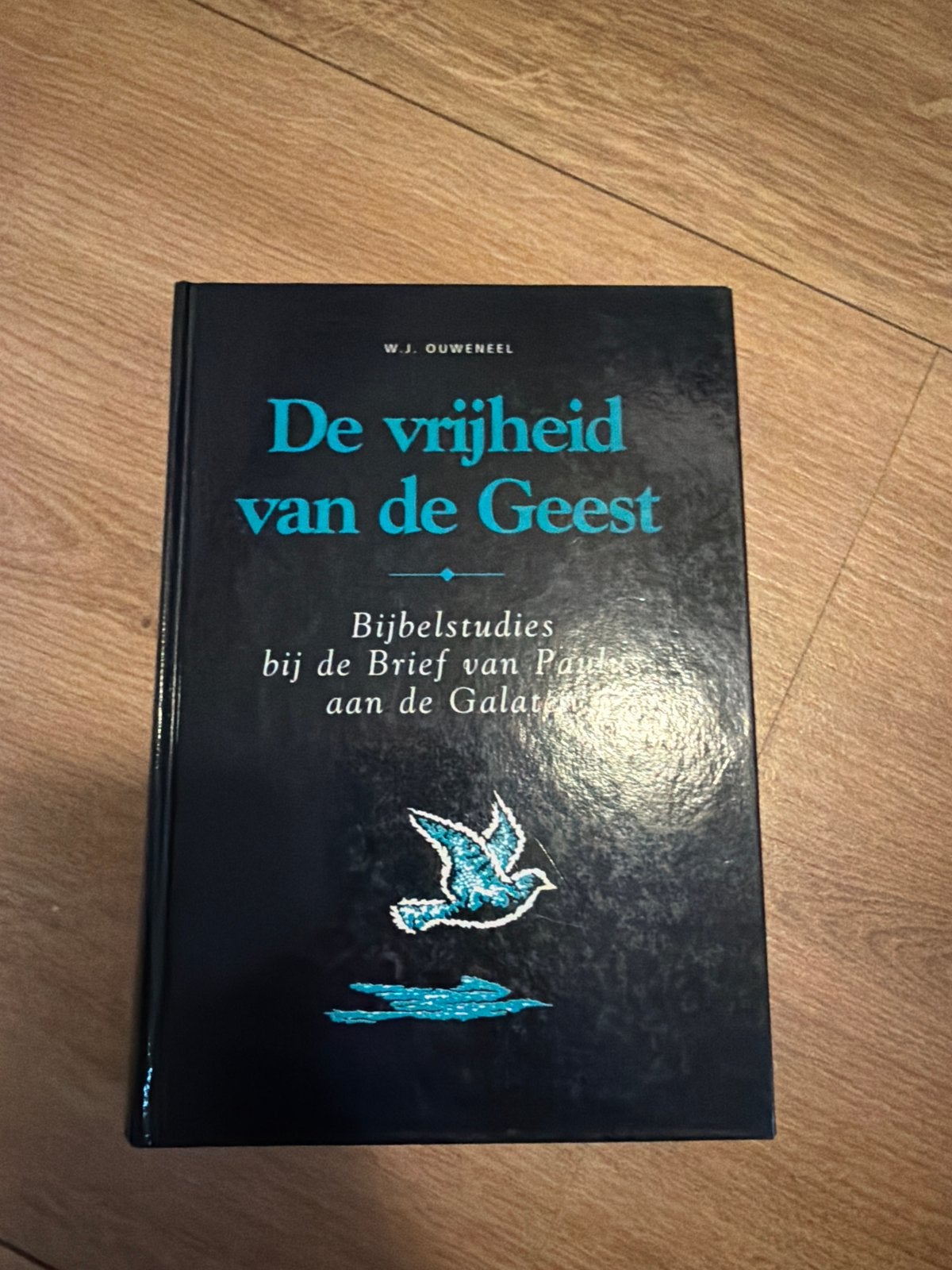 De vrijheid van de Geest - Bijbelstudies Galaten, Boeken, Ophalen of Verzenden, Zo goed als nieuw, Christendom | Protestants