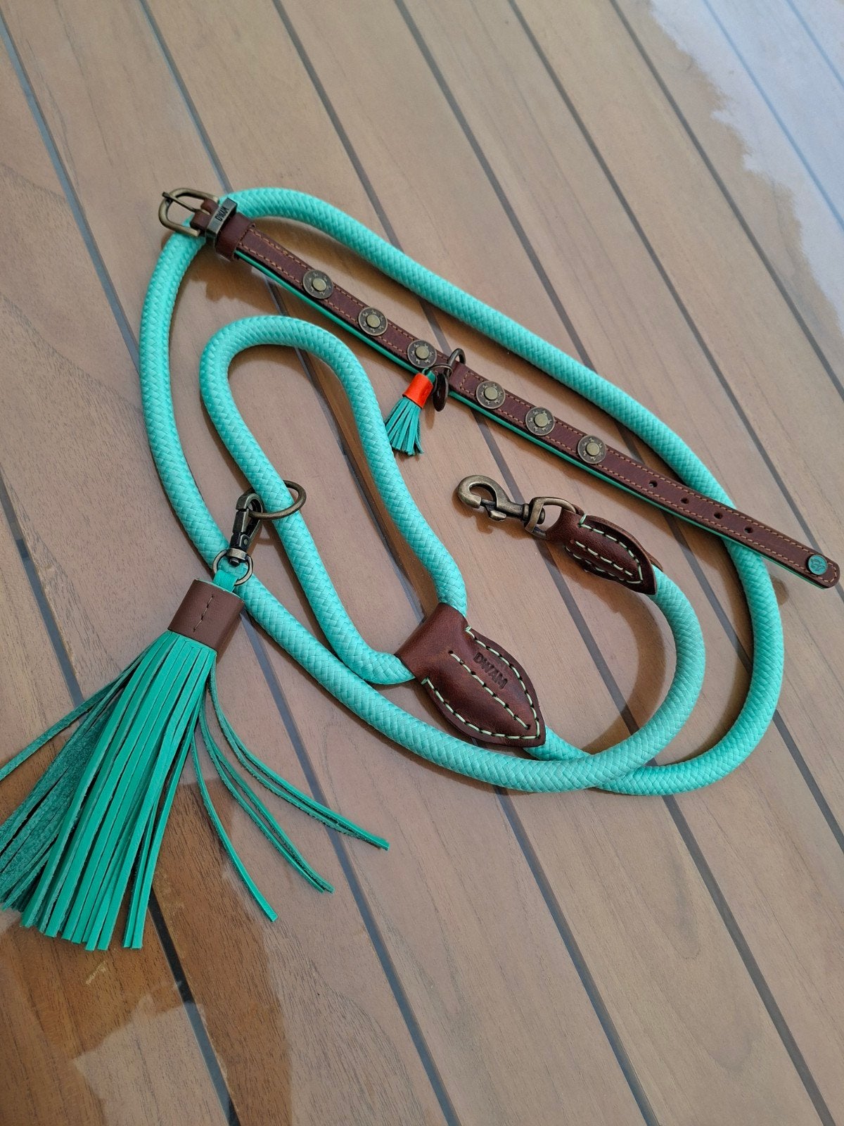 Halsband en Riem Dog With a Mission, Ophalen of Verzenden, Nieuw