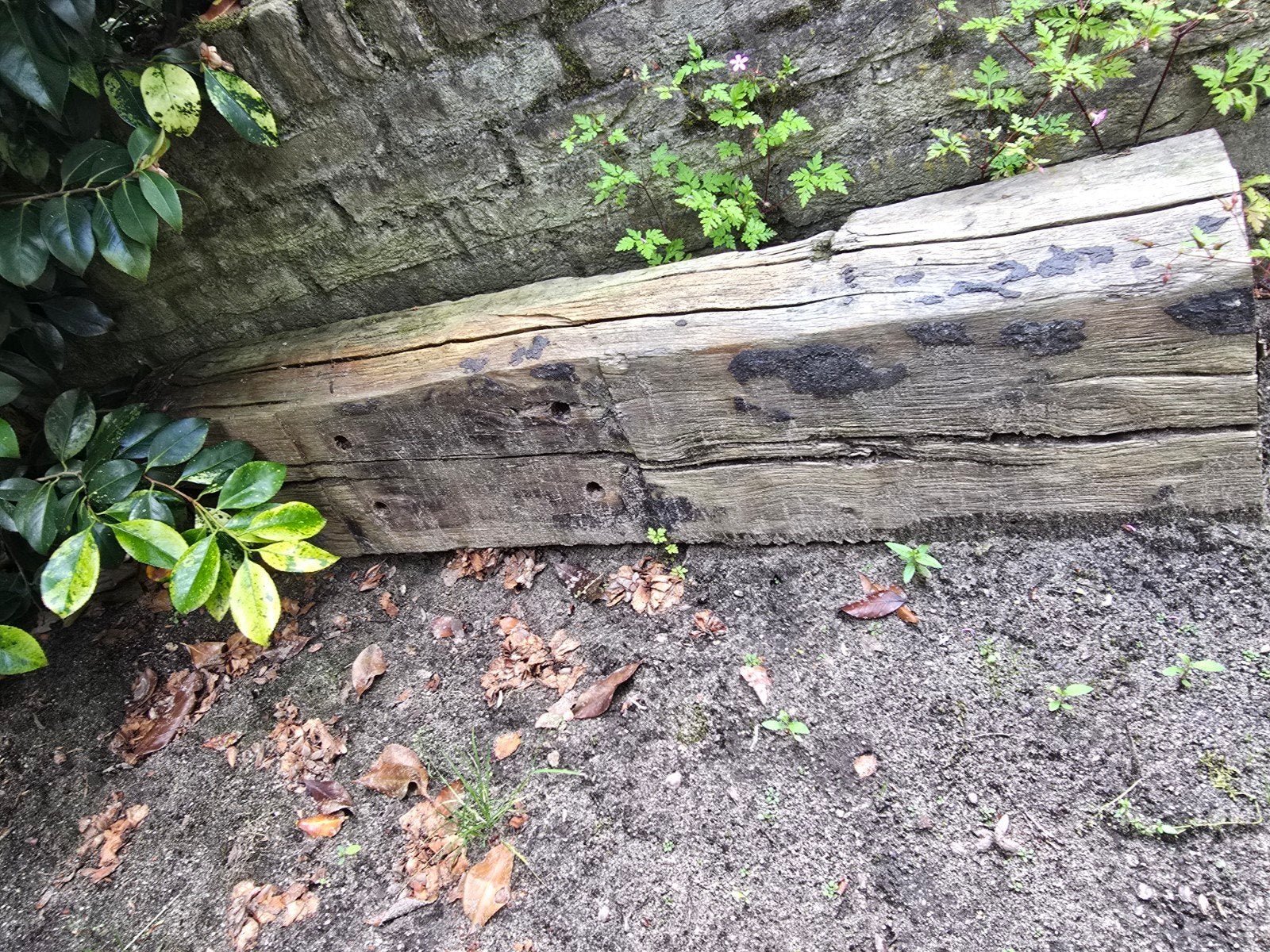 Gratis spoorbiels ophalen, Ophalen of Verzenden, Minder dan 100 cm, Minder dan 25 cm
