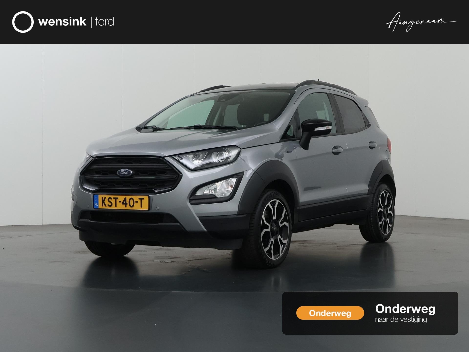 Ford EcoSport 1.0 EcoBoost Active | Navigatie | Camera | DAB, Auto's, Voorwielaandrijving, Dealer onderhouden, 125 pk, Gebruikt