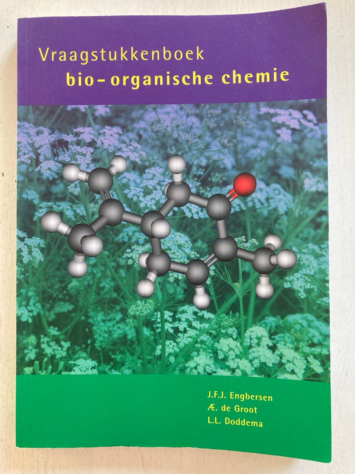 Vraagstukkenboek bio-organische chemie, Ophalen of Verzenden, Beta, Gelezen, HBO