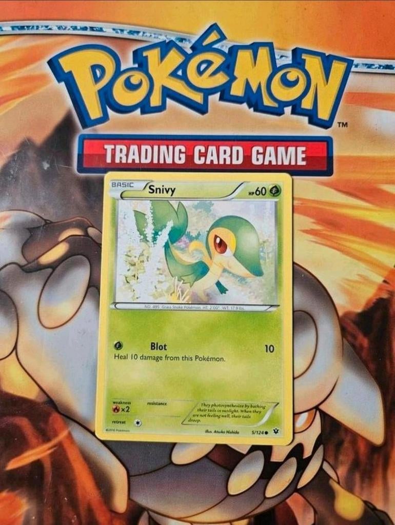 Snivy 5/124 XY Fates Collide pokemon kaart, Ophalen of Verzenden, Zo goed als nieuw, Losse kaart