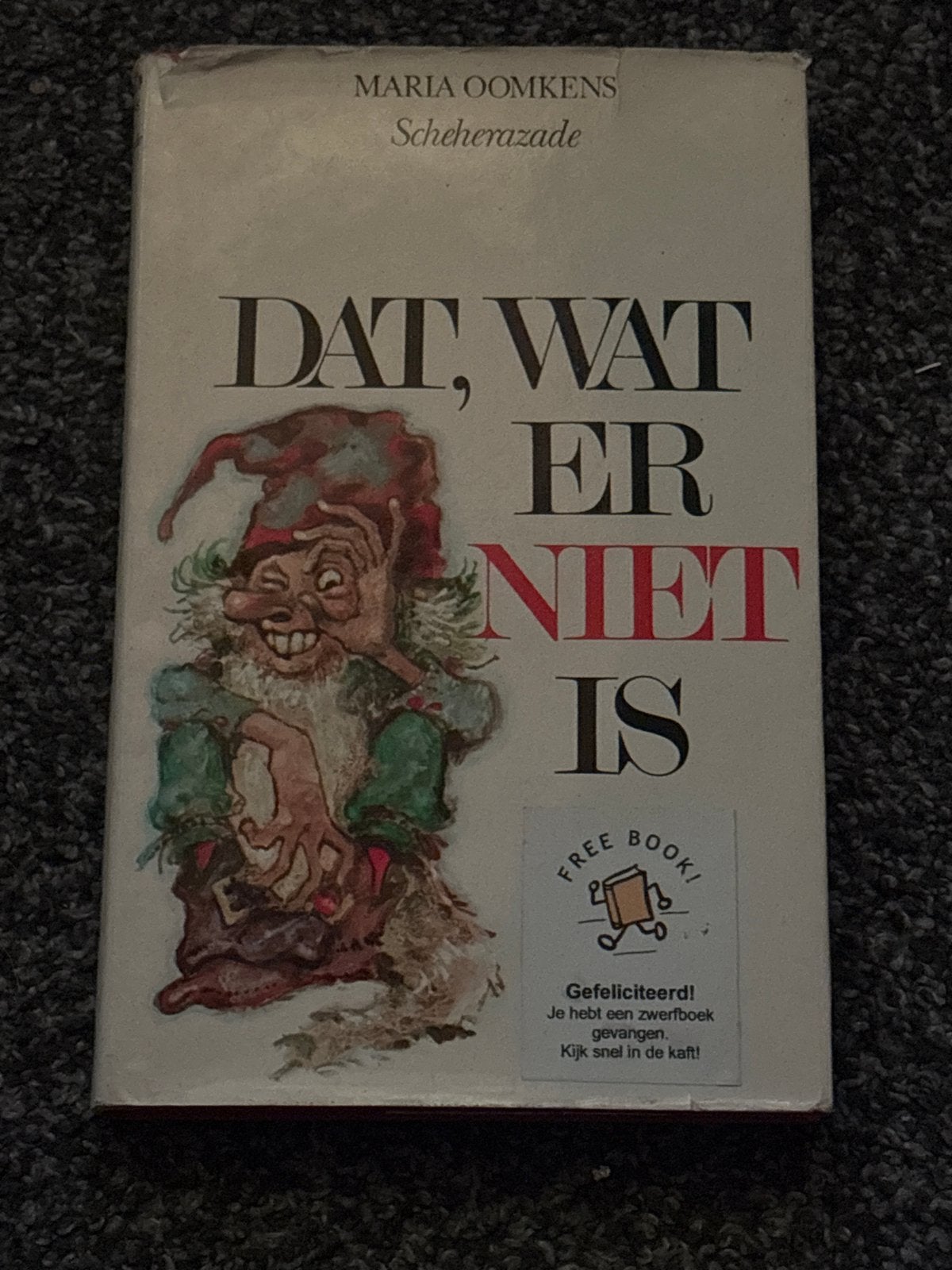 Dat, Wat Er Niet Is - Maria Oomkens Scheherazade, Ophalen of Verzenden, Gelezen