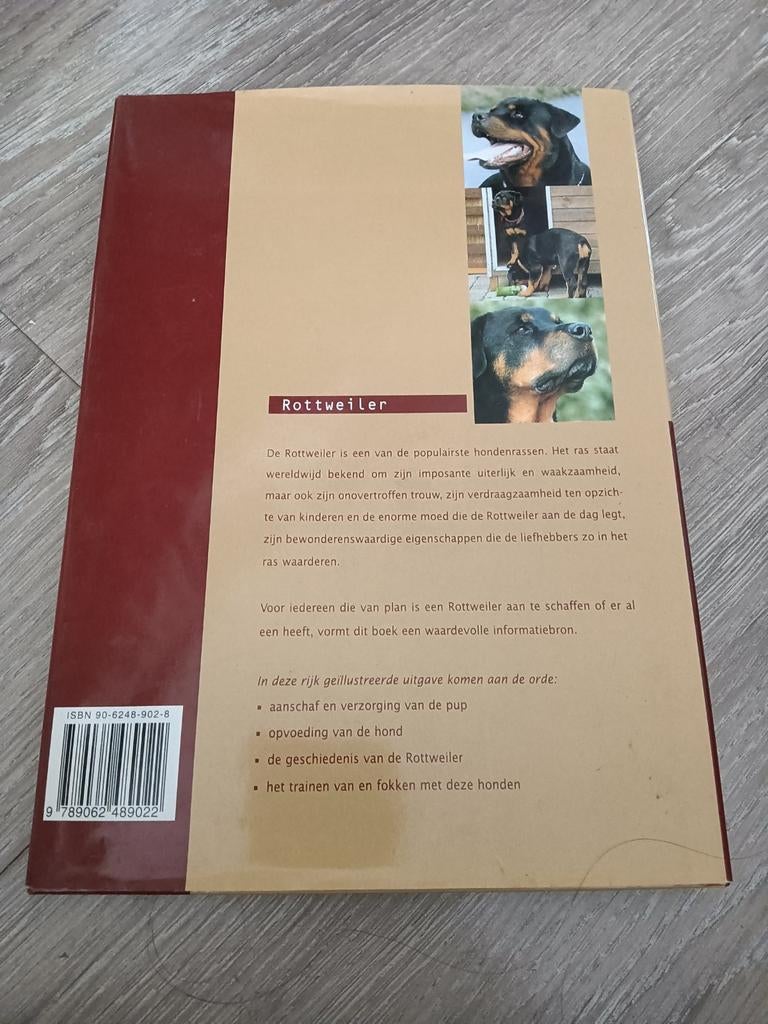 Rottweiler: Aanschaf, Verzorging, Voeding, Opvoeding, Fokken, Ophalen of Verzenden