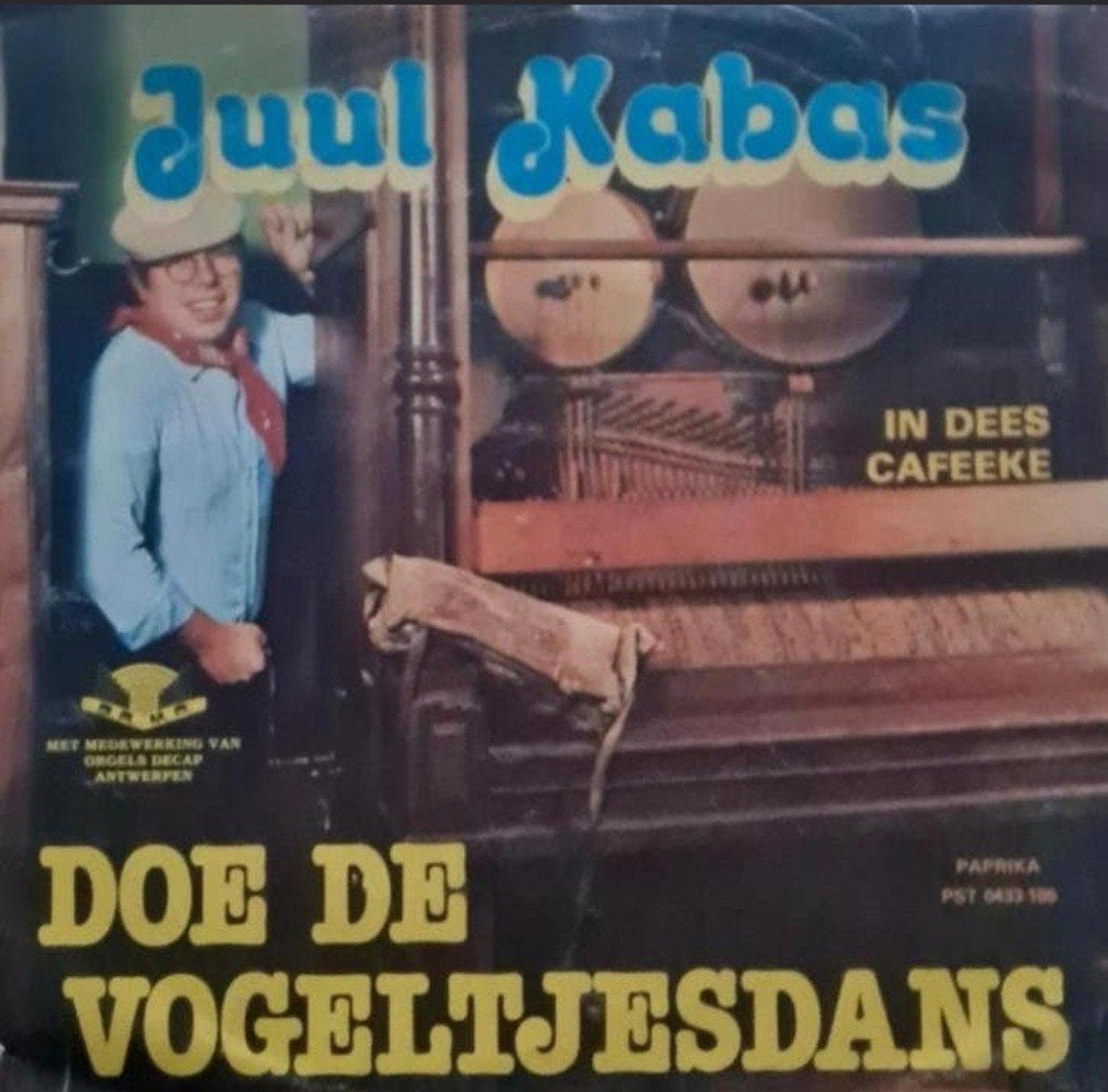 JUUL KABAS  - DOE DE VOGELTJESDANS, Cd's en Dvd's, Ophalen of Verzenden, Gebruikt, Nederlandstalig