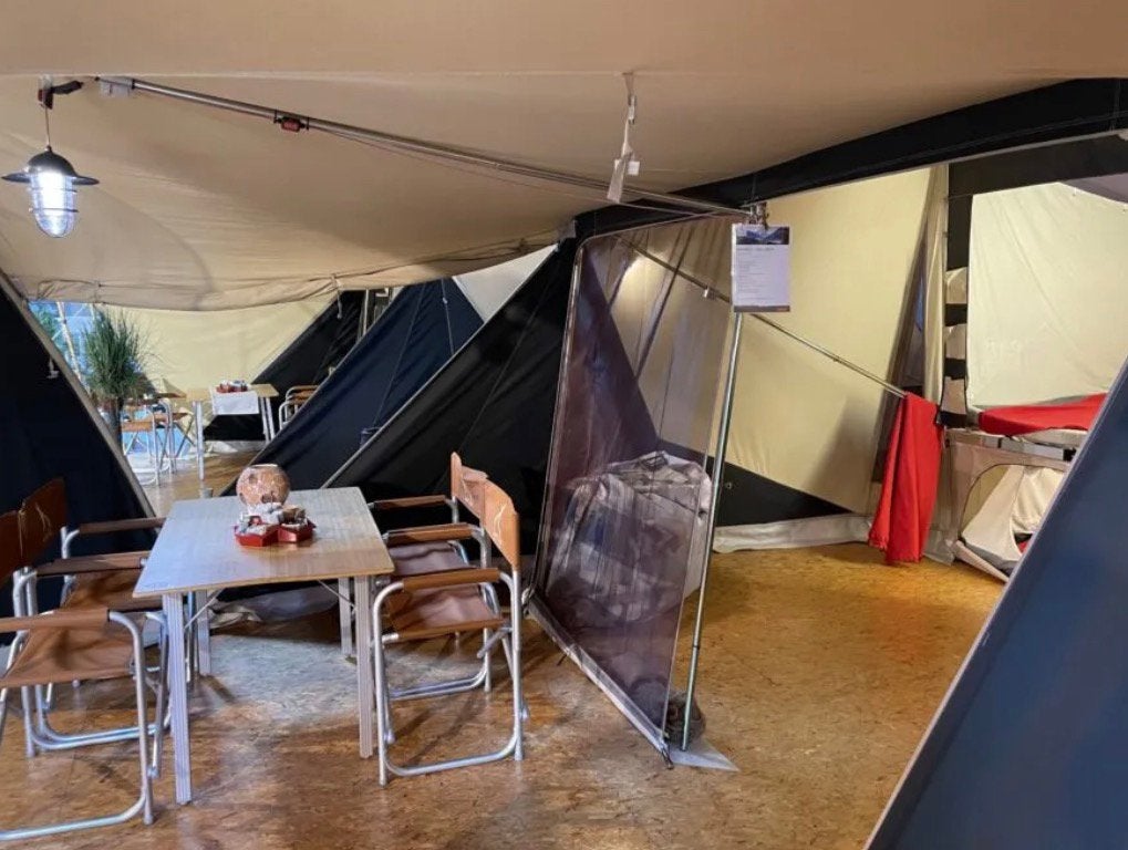 Aart kok kavango hor, Ophalen of Verzenden, Nieuw