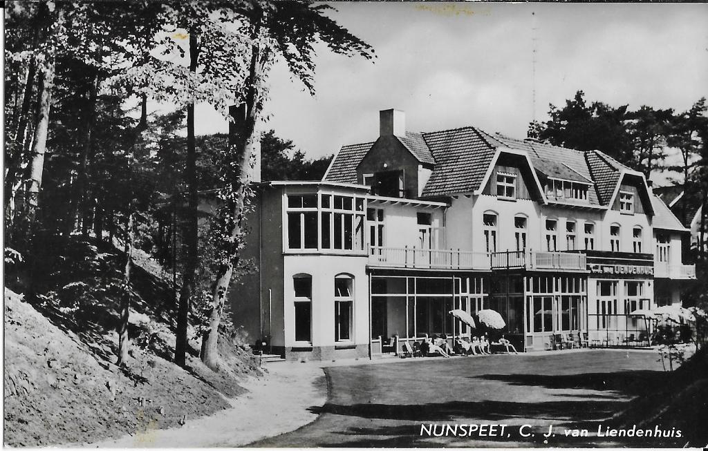 Nunspeet, C.J. van Liendenhuis, terras, parasol, Verzenden, 1960 tot 1980, Ongelopen, Gelderland