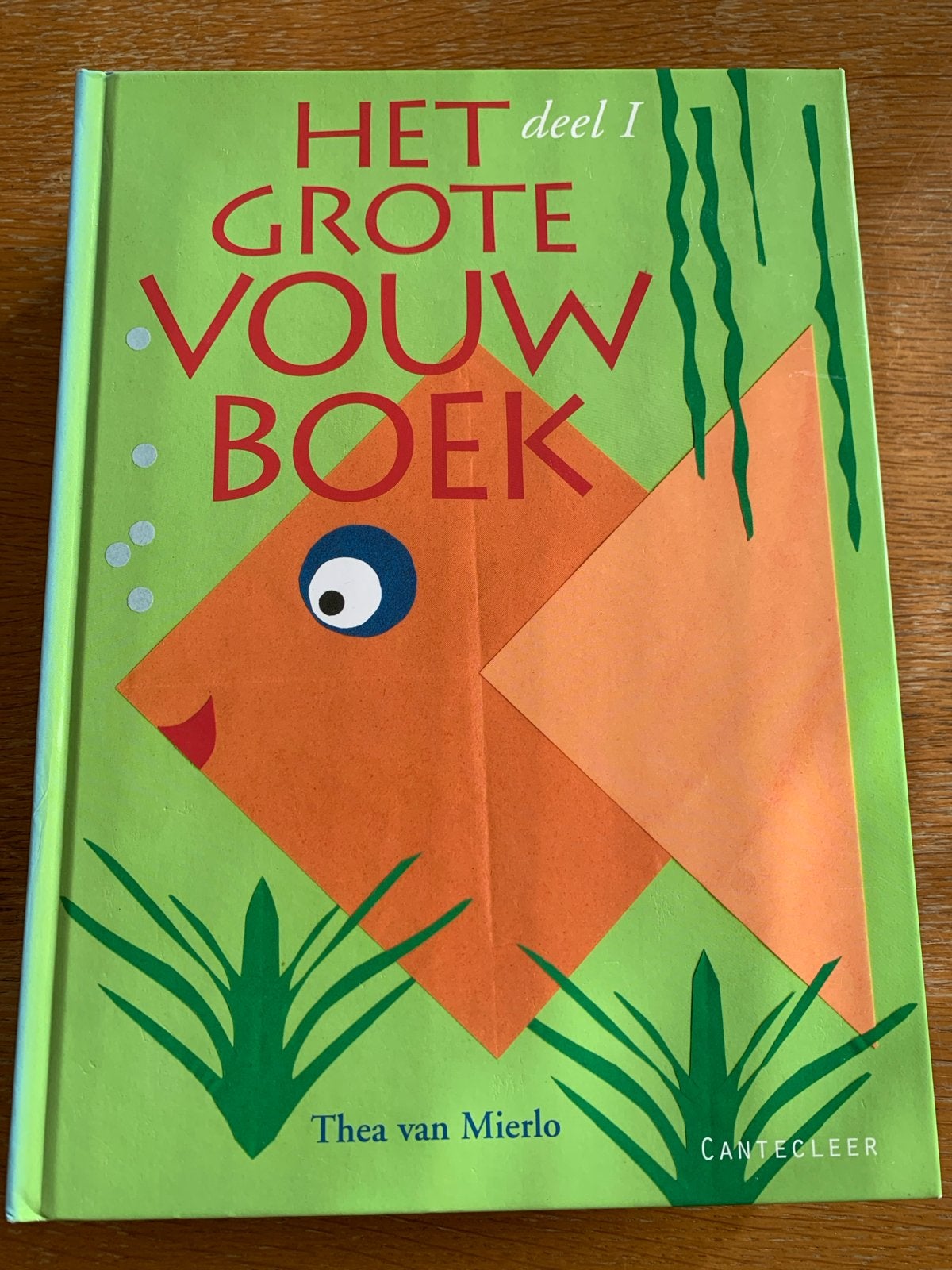Het Grote Vouwboek deel I - Thea van Mierlo, Ophalen of Verzenden, Zo goed als nieuw, Non-fictie