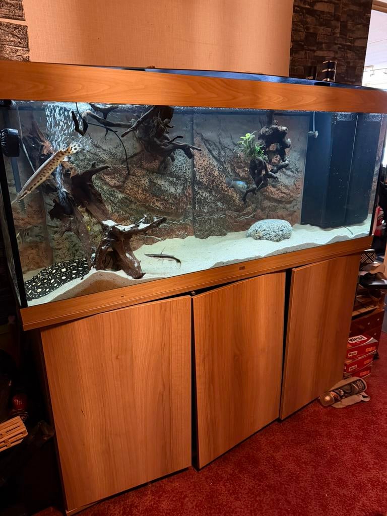 Juwel rio 450 met hoop extra, Ophalen, Zo goed als nieuw, Leeg aquarium